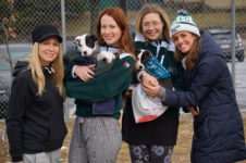 Underdogs Supporting Underdogs: Raising Brand Awareness And Combating Animal Cruelty